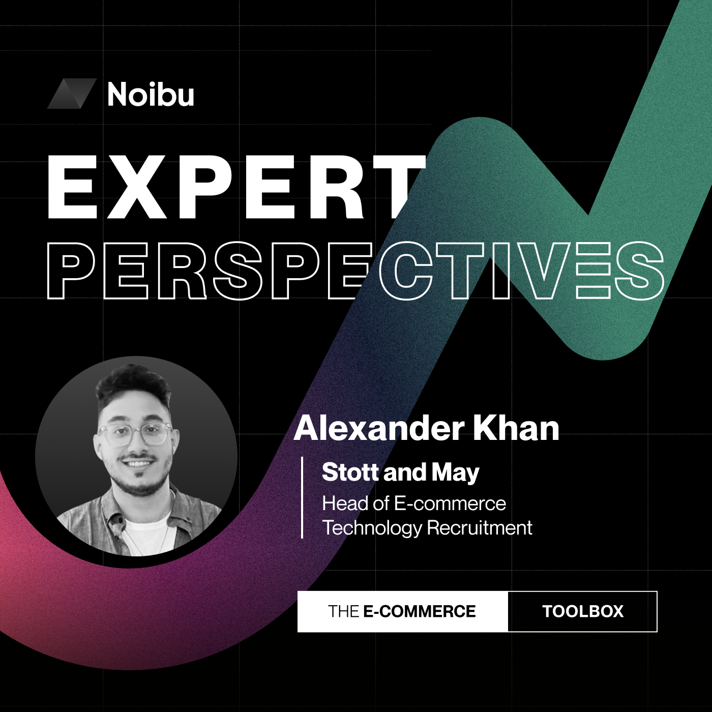 The Ecommerce Toolbox: Expert Perspectives