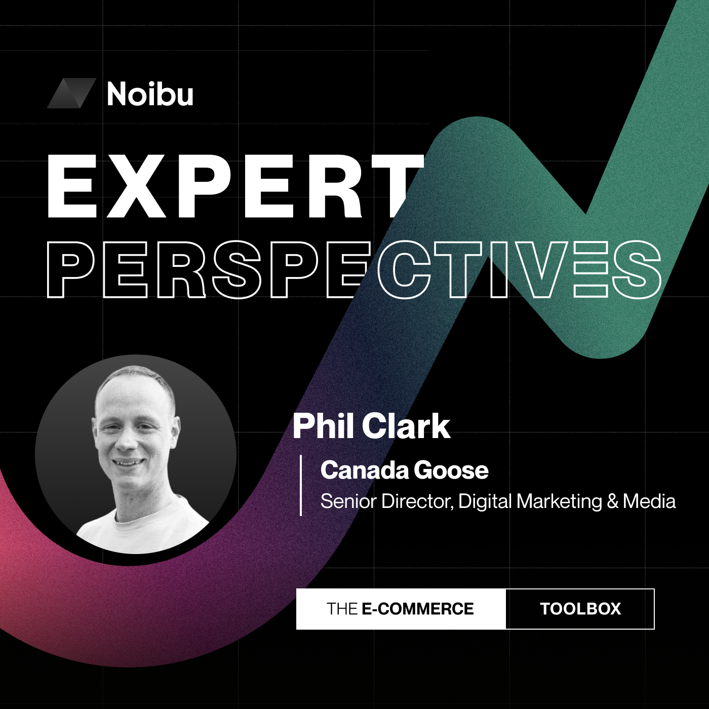 The Ecommerce Toolbox: Expert Perspectives
