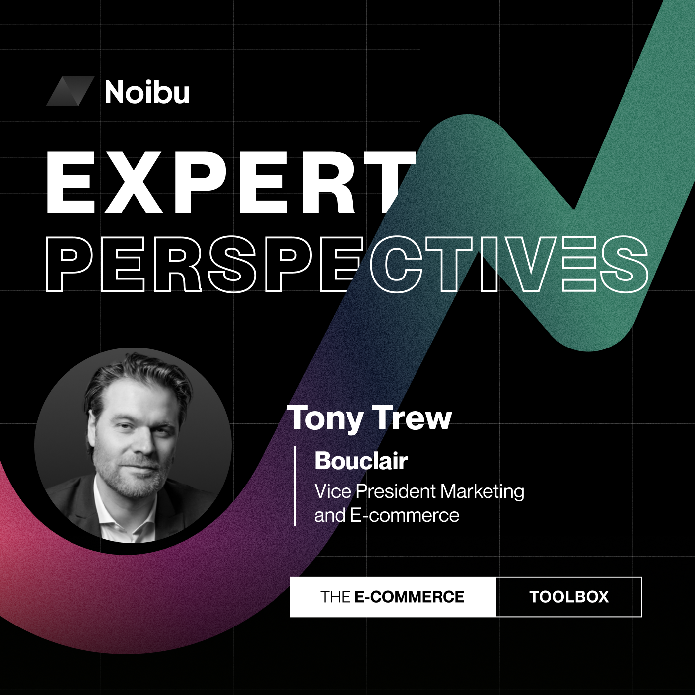 The Ecommerce Toolbox: Expert Perspectives