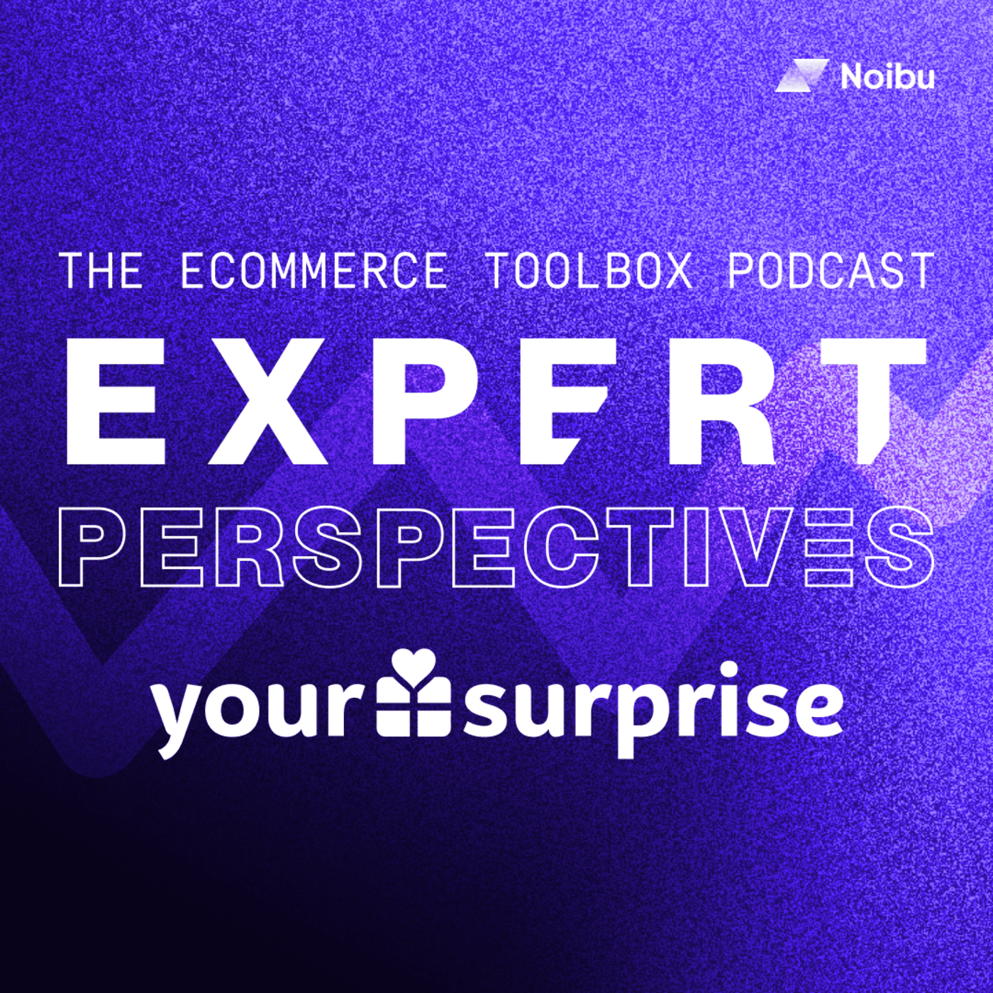 The Ecommerce Toolbox: Expert Perspectives
