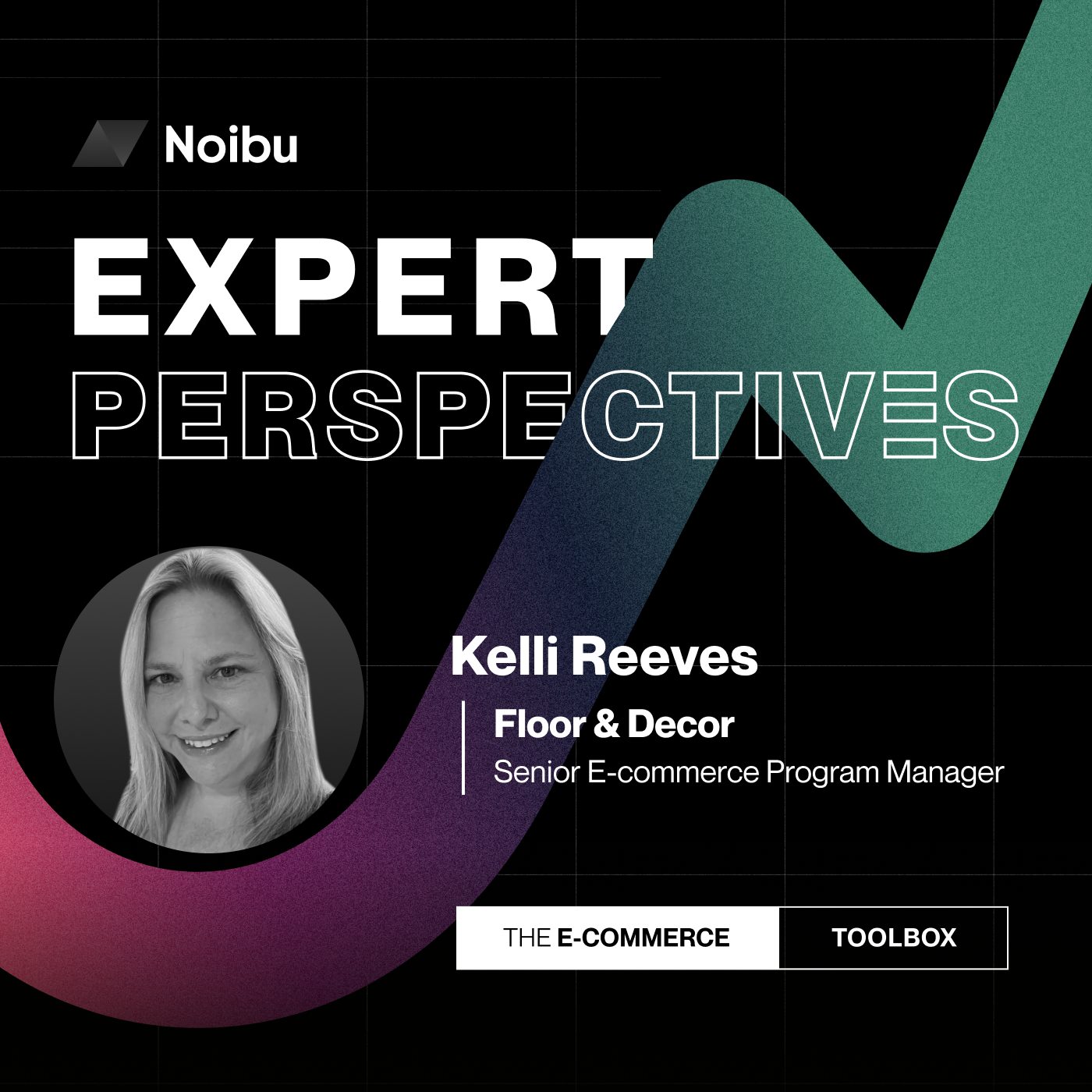 The Ecommerce Toolbox: Expert Perspectives