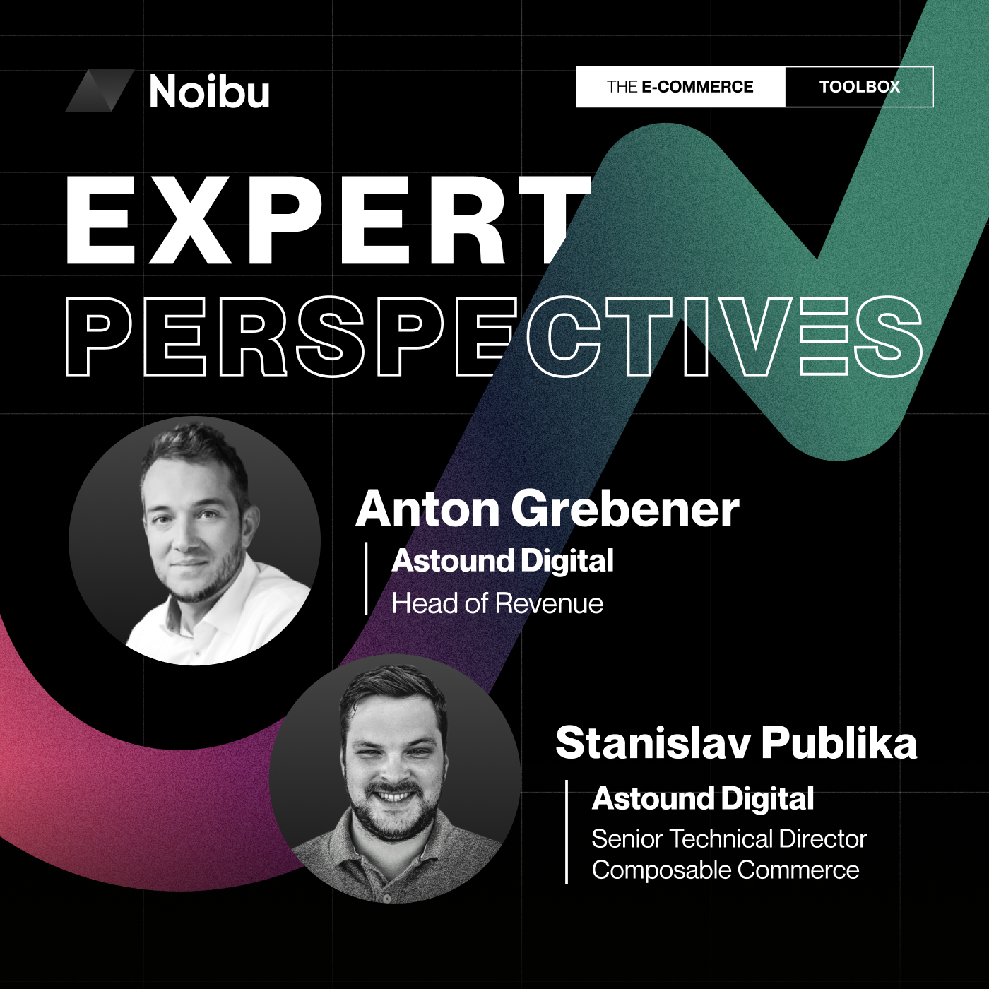 The Ecommerce Toolbox: Expert Perspectives