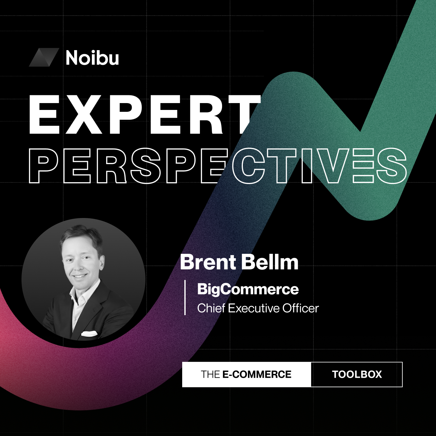 The Ecommerce Toolbox: Expert Perspectives