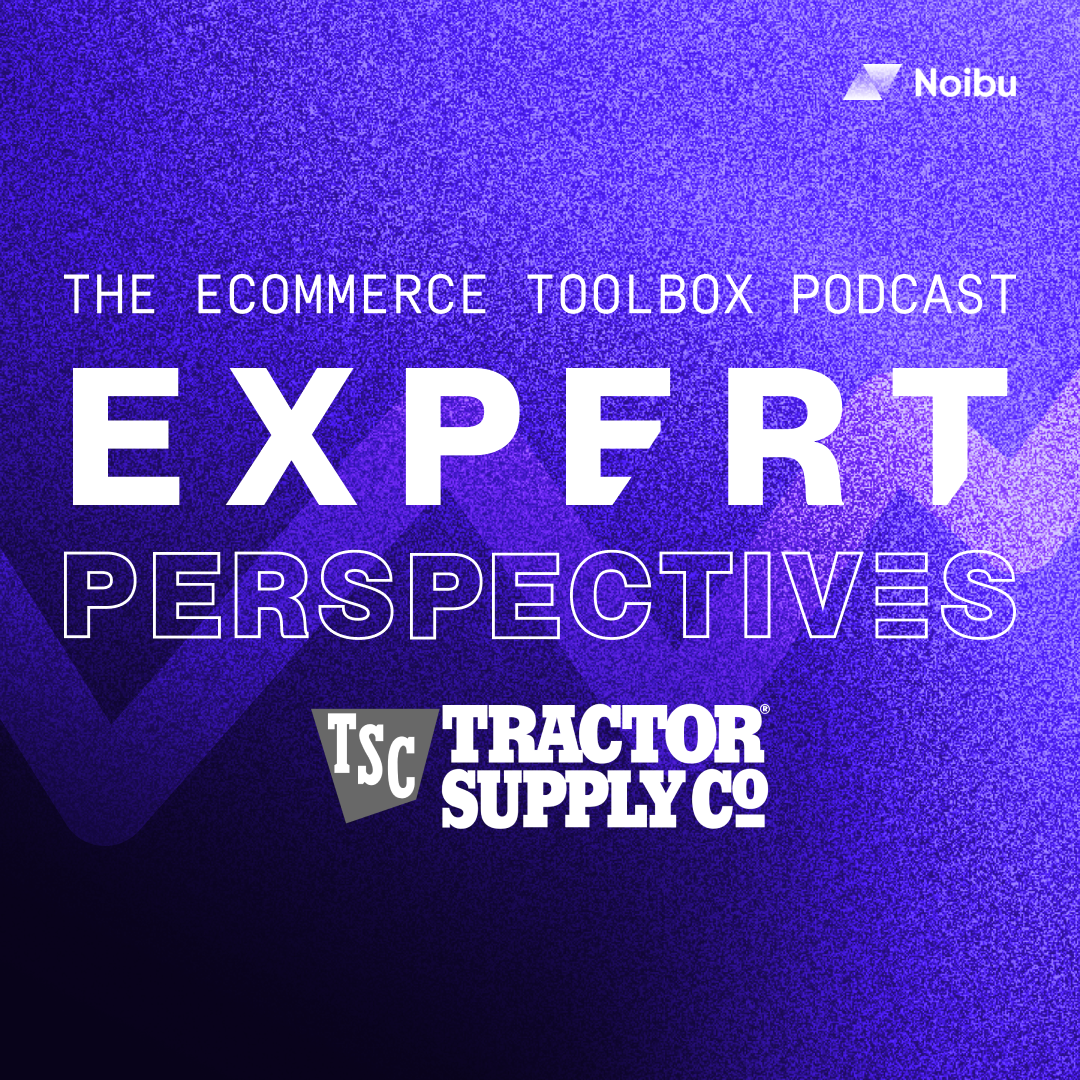 The Ecommerce Toolbox: Expert Perspectives