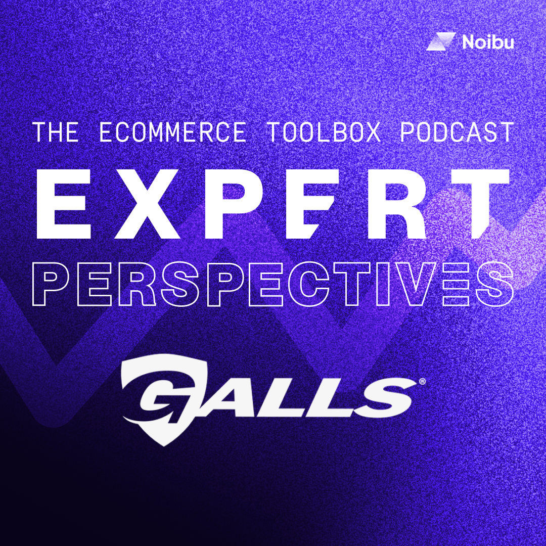 The Ecommerce Toolbox: Expert Perspectives