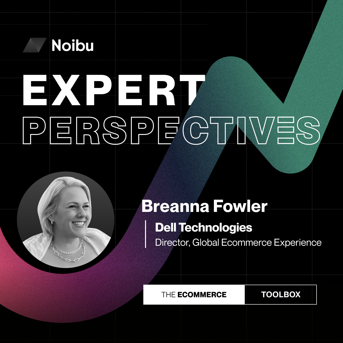 The Ecommerce Toolbox: Expert Perspectives