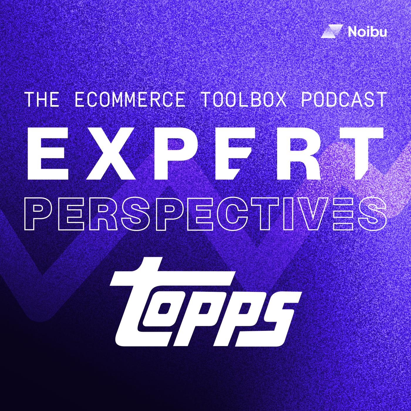 The Ecommerce Toolbox: Expert Perspectives