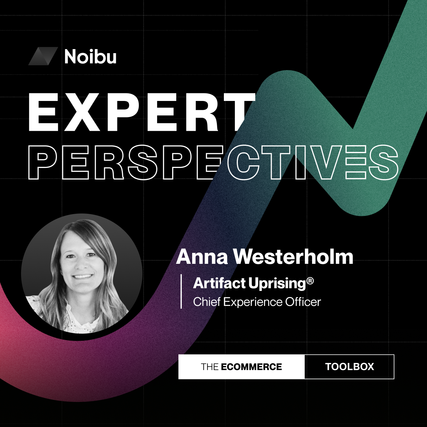 The Ecommerce Toolbox: Expert Perspectives