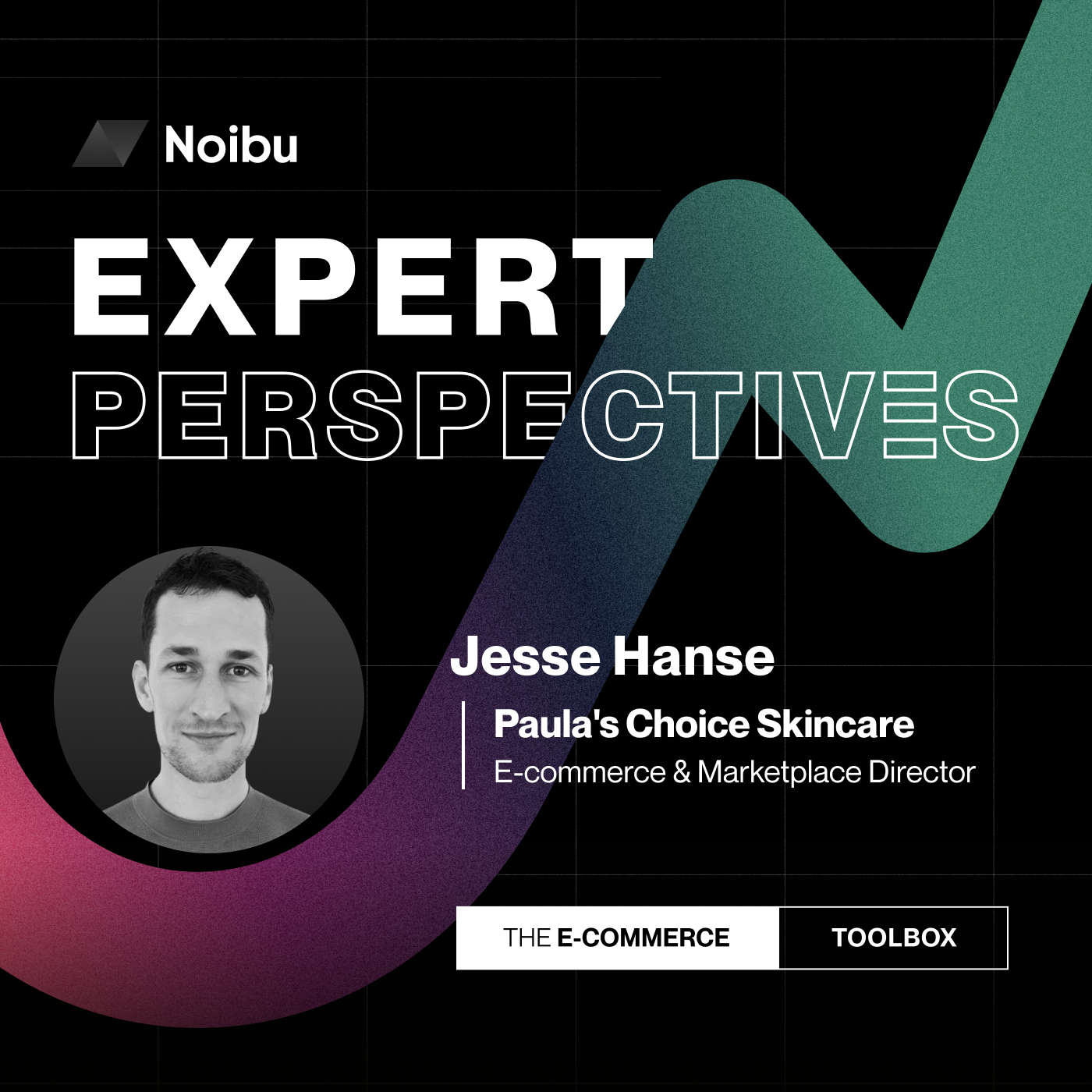 The Ecommerce Toolbox: Expert Perspectives