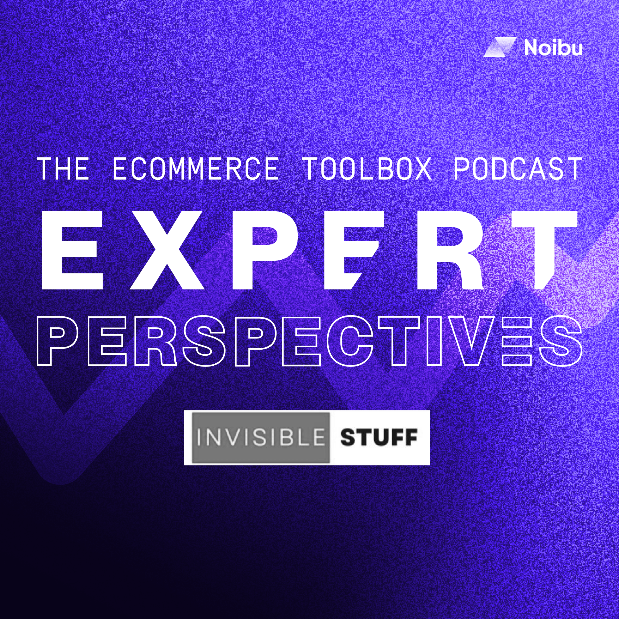 The Ecommerce Toolbox: Expert Perspectives
