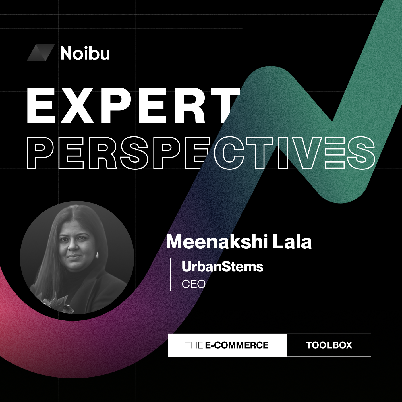 The Ecommerce Toolbox: Expert Perspectives