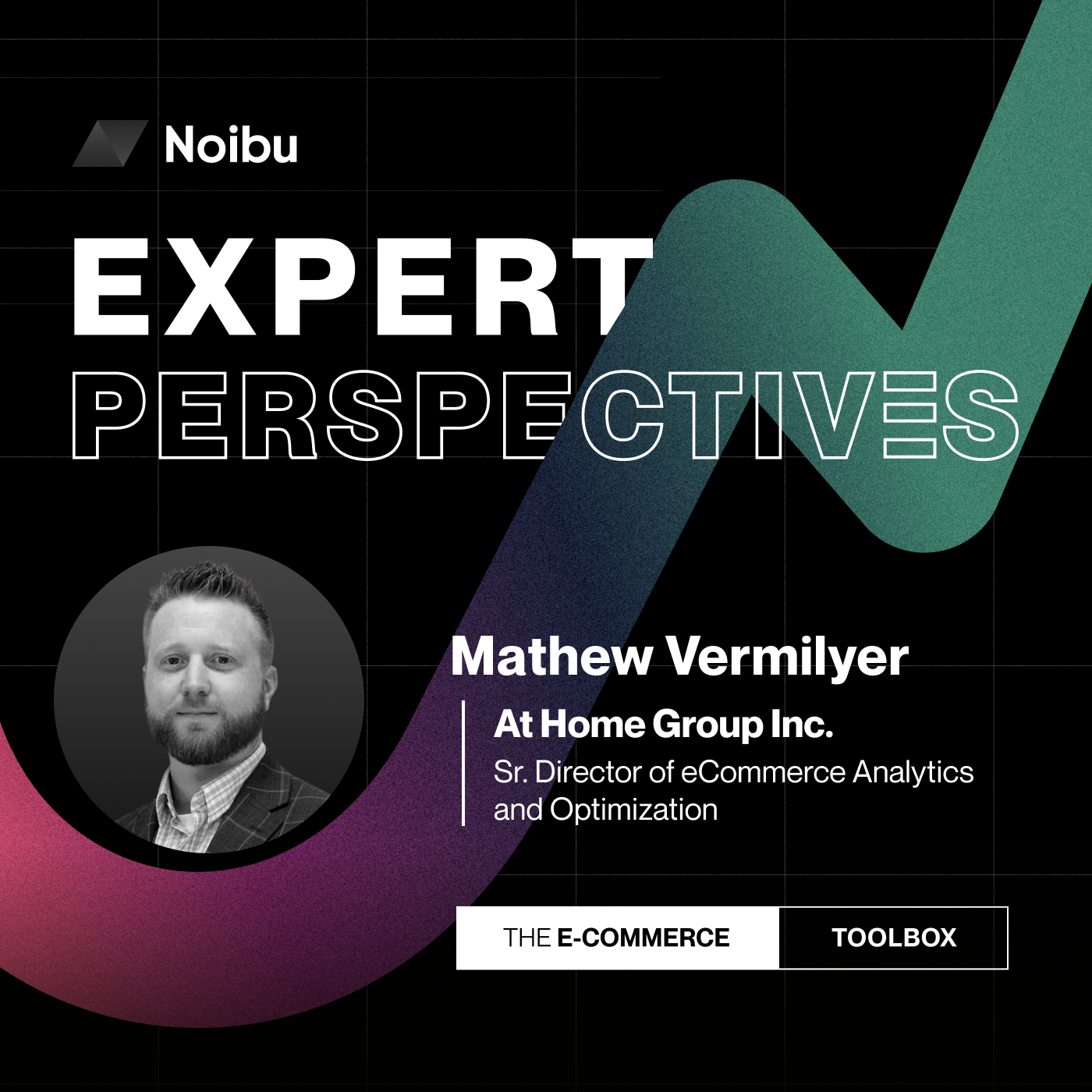 The Ecommerce Toolbox: Expert Perspectives
