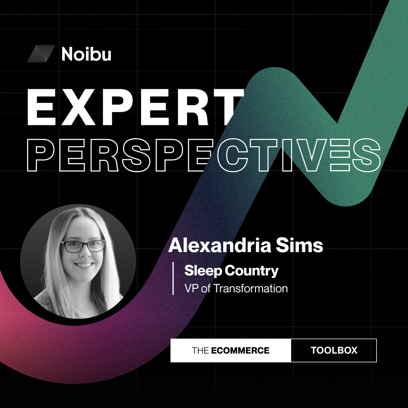 The Ecommerce Toolbox: Expert Perspectives