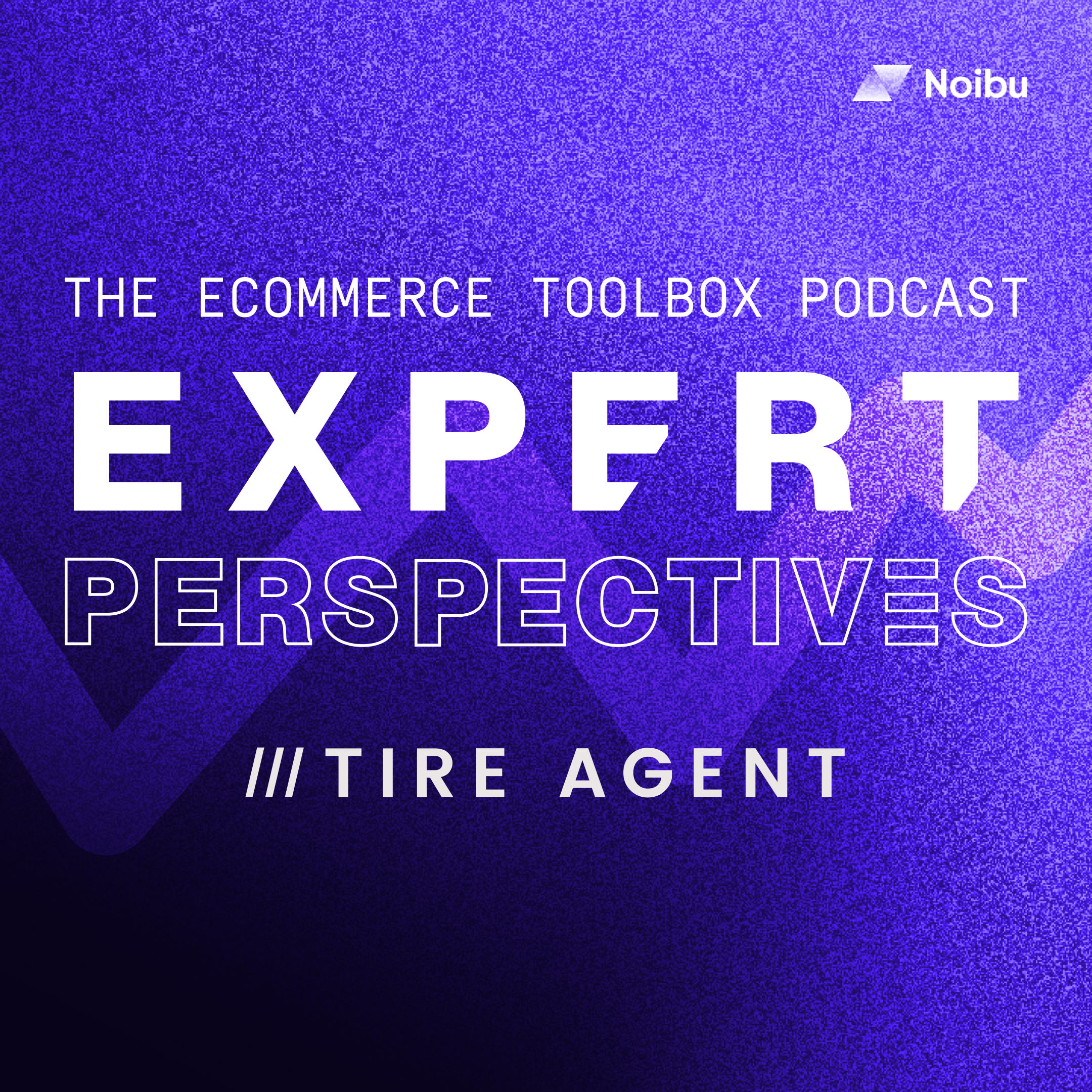 The Ecommerce Toolbox: Expert Perspectives