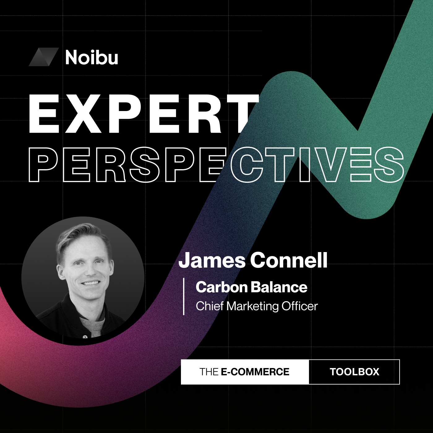 The Ecommerce Toolbox: Expert Perspectives