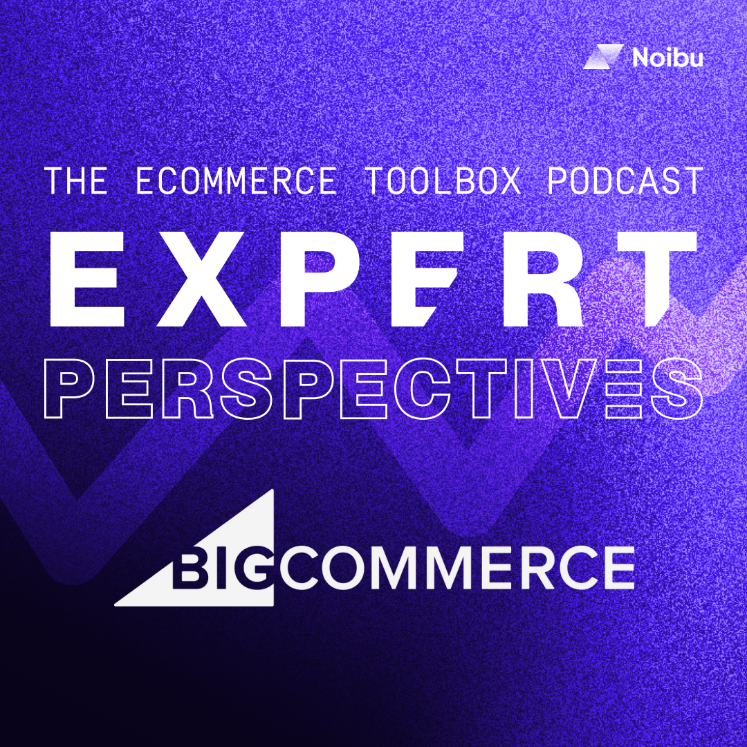 The Ecommerce Toolbox: Expert Perspectives