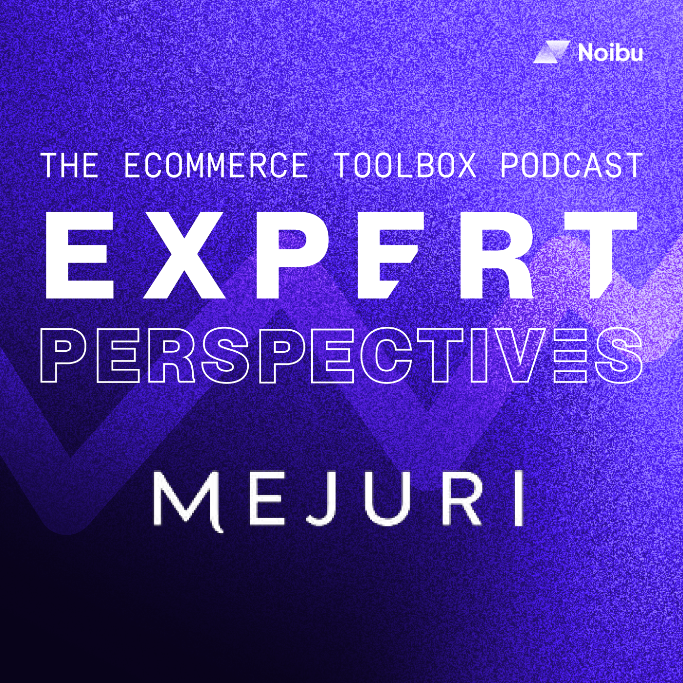 The Ecommerce Toolbox: Expert Perspectives