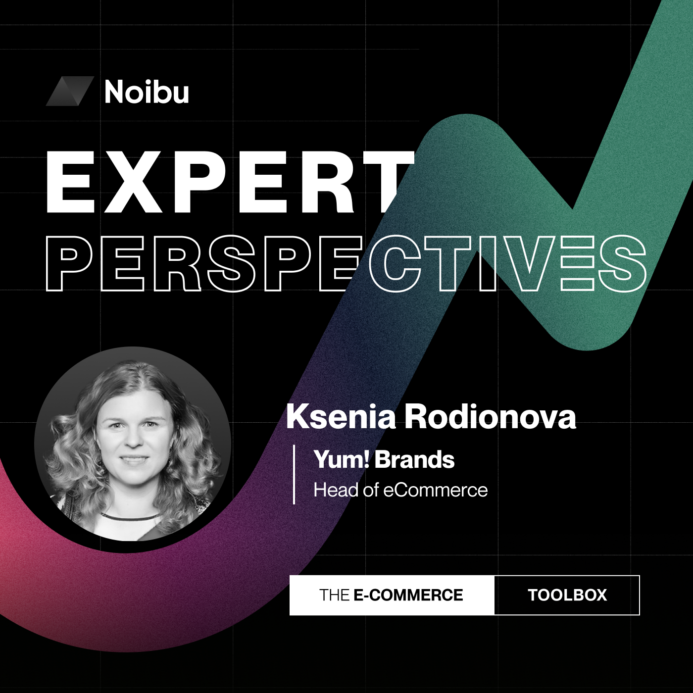 The Ecommerce Toolbox: Expert Perspectives