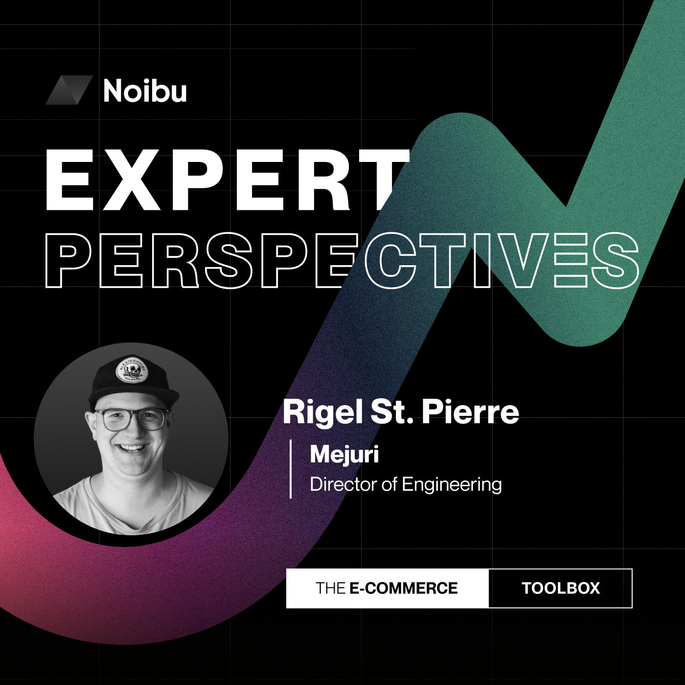 The Ecommerce Toolbox: Expert Perspectives