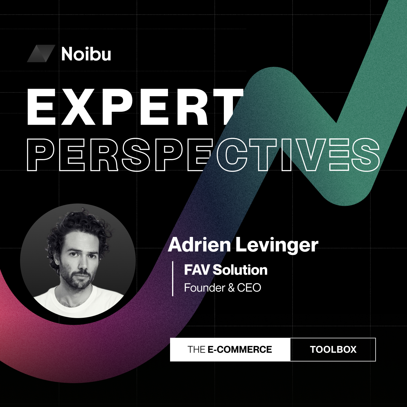 The Ecommerce Toolbox: Expert Perspectives