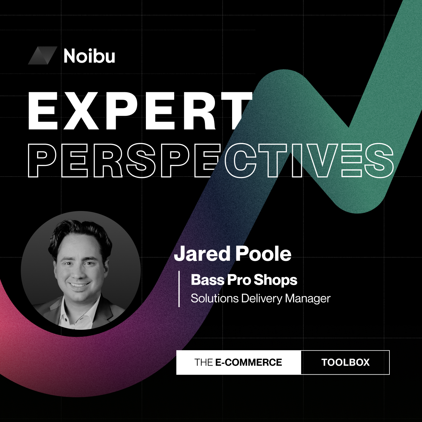 The Ecommerce Toolbox: Expert Perspectives