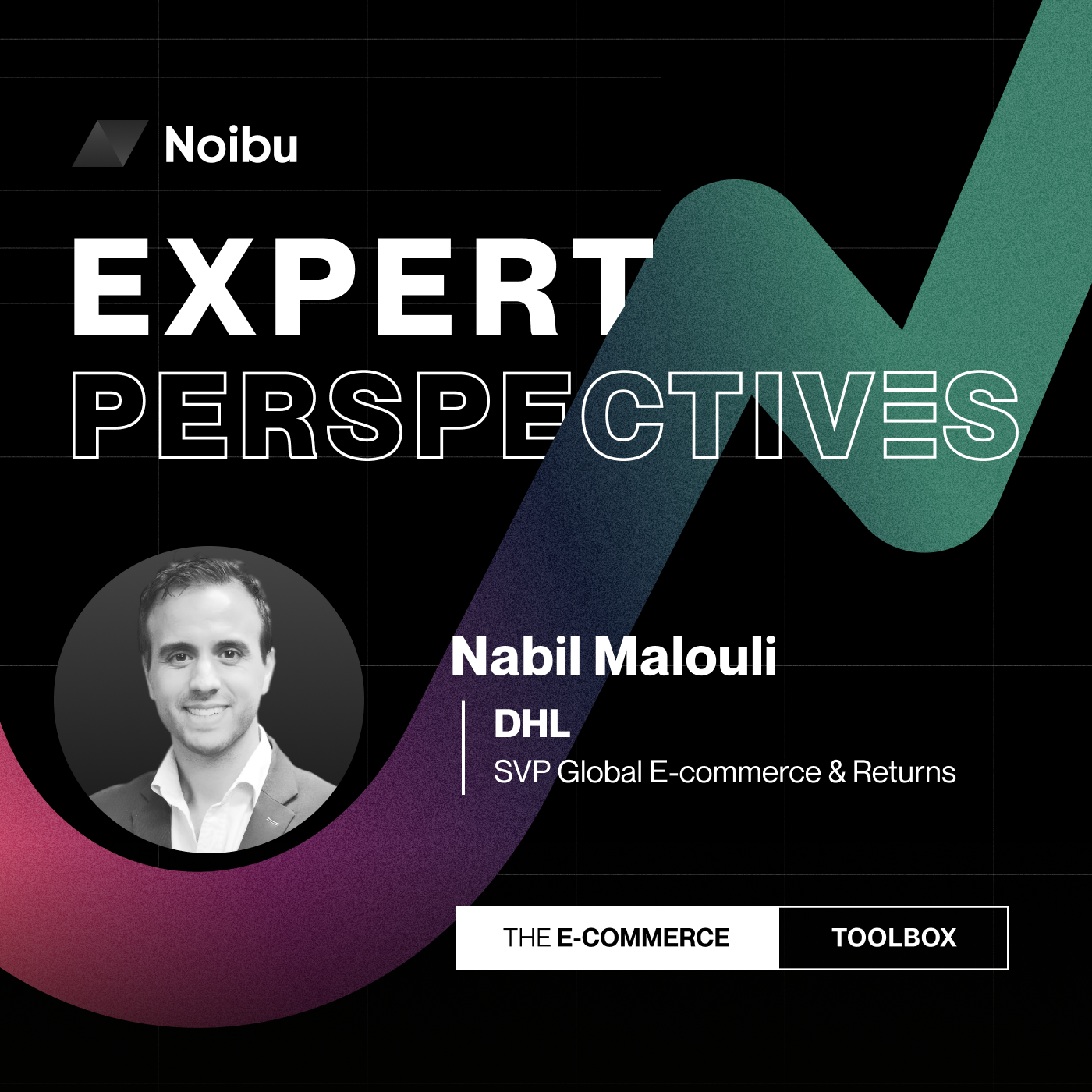 The Ecommerce Toolbox: Expert Perspectives