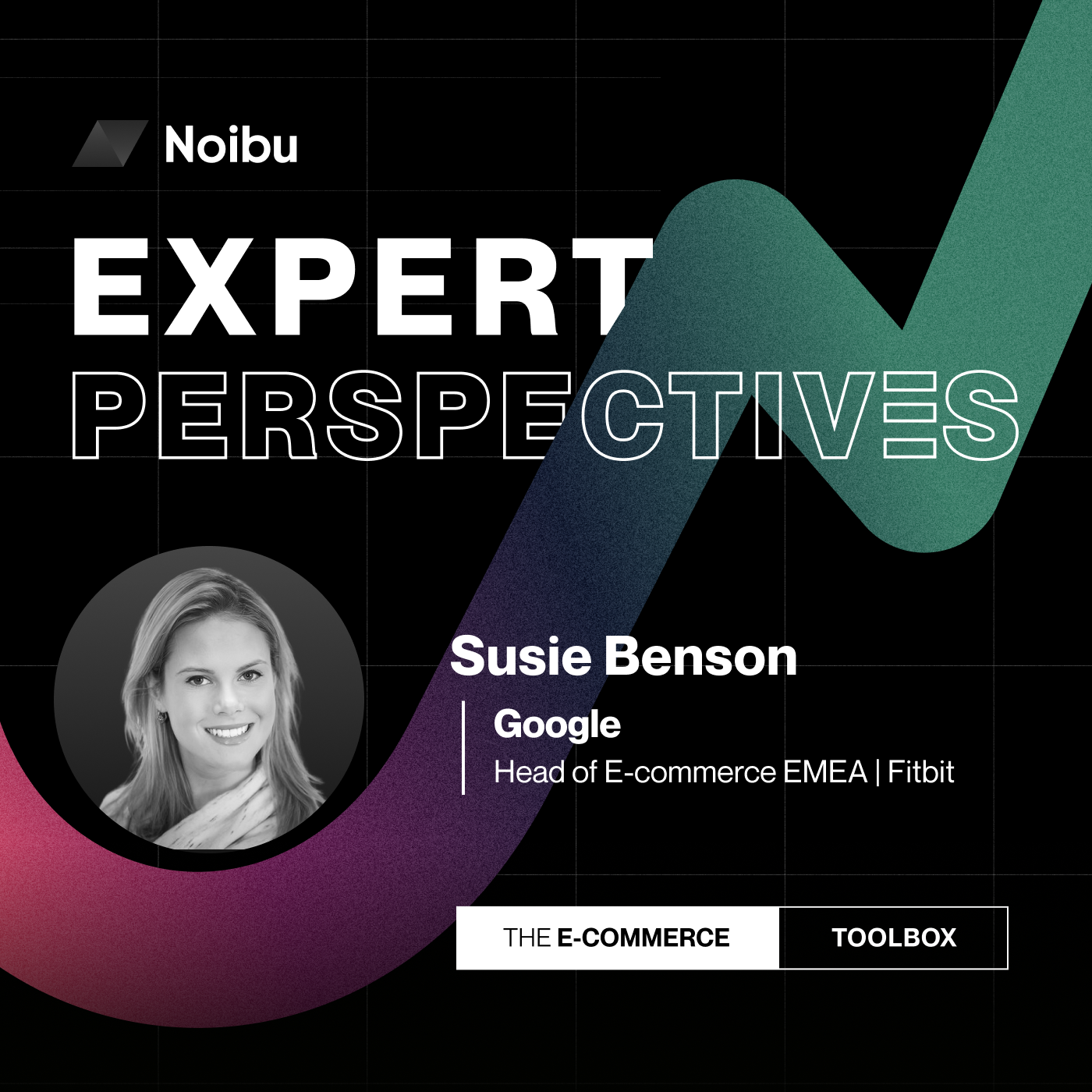 The Ecommerce Toolbox: Expert Perspectives