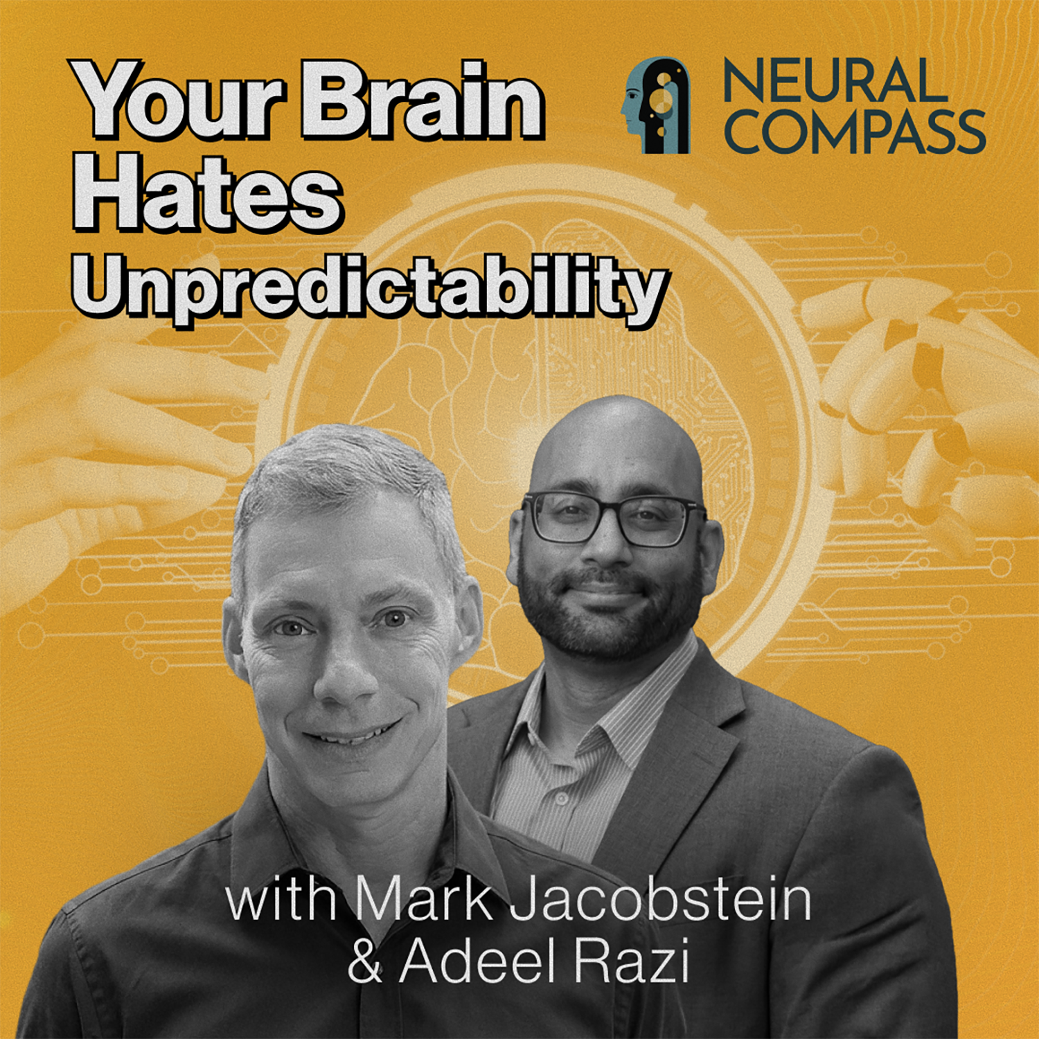 Your Brain Hates Unpredictability