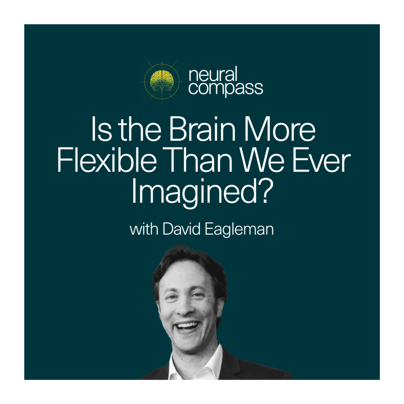Is the Brain More Flexible Than We Ever Imagined? with David Eagleman episode artwork